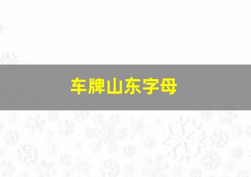 车牌山东字母