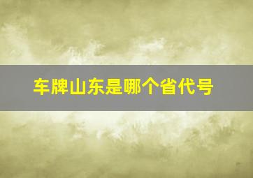 车牌山东是哪个省代号