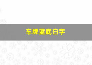 车牌蓝底白字