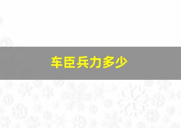 车臣兵力多少