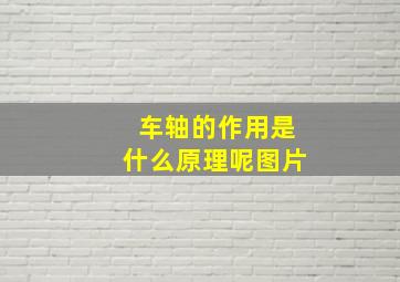 车轴的作用是什么原理呢图片