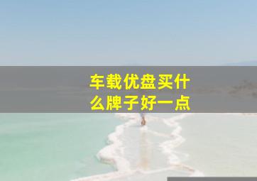 车载优盘买什么牌子好一点