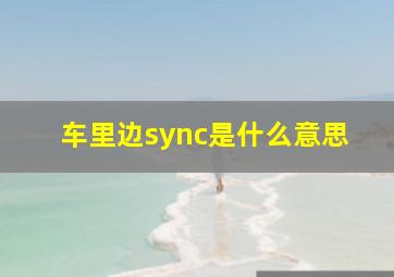 车里边sync是什么意思