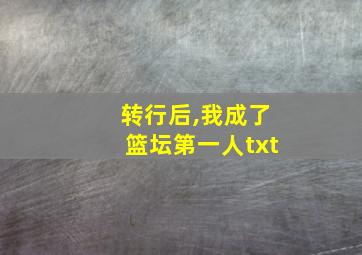 转行后,我成了篮坛第一人txt