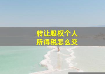 转让股权个人所得税怎么交