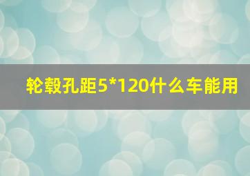 轮毂孔距5*120什么车能用