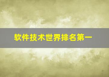 软件技术世界排名第一