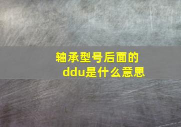 轴承型号后面的ddu是什么意思