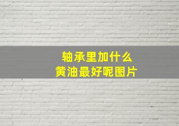 轴承里加什么黄油最好呢图片