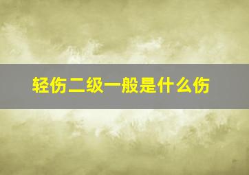 轻伤二级一般是什么伤