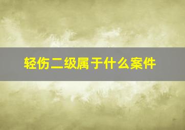 轻伤二级属于什么案件