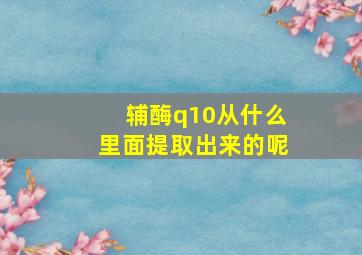 辅酶q10从什么里面提取出来的呢