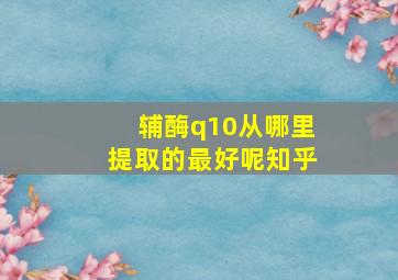 辅酶q10从哪里提取的最好呢知乎