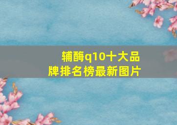 辅酶q10十大品牌排名榜最新图片