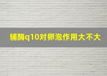 辅酶q10对卵泡作用大不大