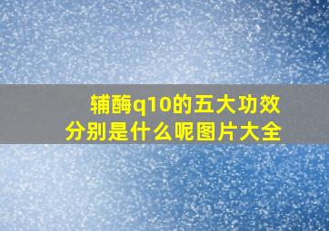 辅酶q10的五大功效分别是什么呢图片大全