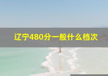 辽宁480分一般什么档次