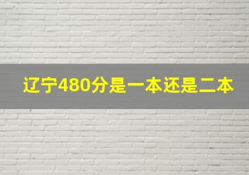 辽宁480分是一本还是二本