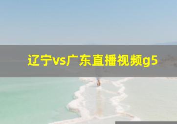 辽宁vs广东直播视频g5