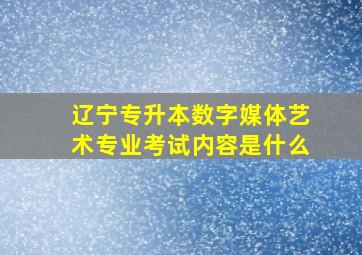 辽宁专升本数字媒体艺术专业考试内容是什么