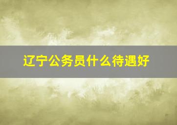 辽宁公务员什么待遇好