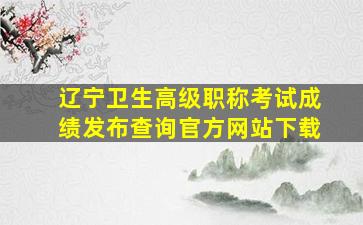 辽宁卫生高级职称考试成绩发布查询官方网站下载