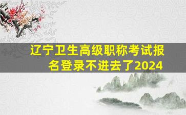 辽宁卫生高级职称考试报名登录不进去了2024