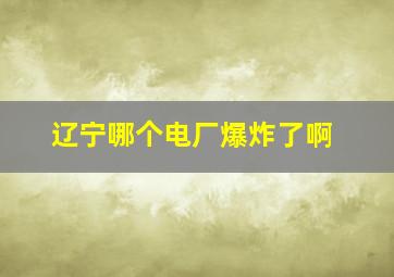 辽宁哪个电厂爆炸了啊