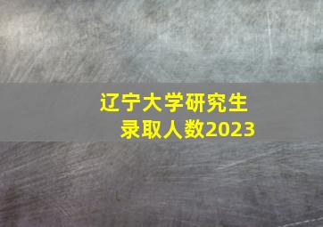 辽宁大学研究生录取人数2023