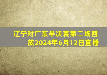 辽宁对广东半决赛第二场回放2024年6月12日直播