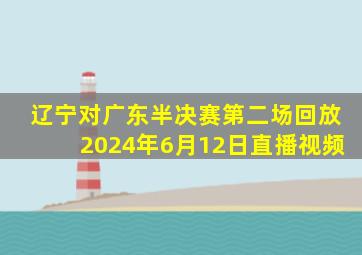 辽宁对广东半决赛第二场回放2024年6月12日直播视频