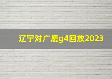 辽宁对广厦g4回放2023