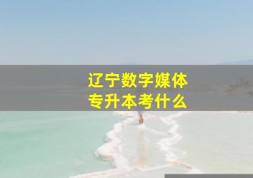 辽宁数字媒体专升本考什么