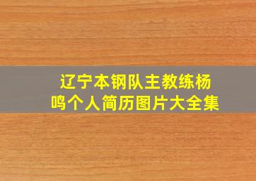 辽宁本钢队主教练杨鸣个人简历图片大全集