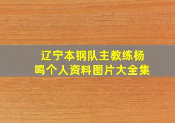 辽宁本钢队主教练杨鸣个人资料图片大全集