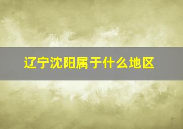 辽宁沈阳属于什么地区