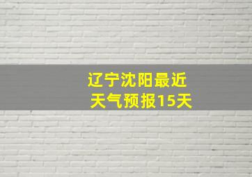 辽宁沈阳最近天气预报15天