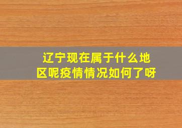 辽宁现在属于什么地区呢疫情情况如何了呀