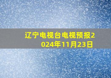 辽宁电视台电视预报2024年11月23日