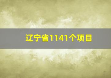 辽宁省1141个项目