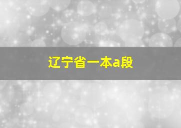 辽宁省一本a段