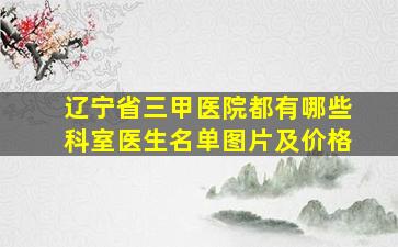 辽宁省三甲医院都有哪些科室医生名单图片及价格