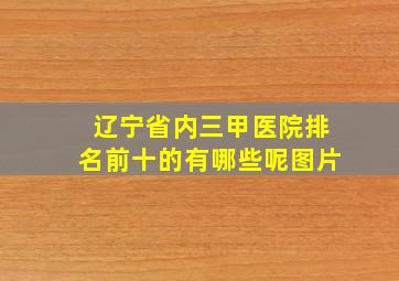 辽宁省内三甲医院排名前十的有哪些呢图片