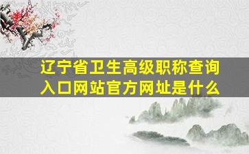 辽宁省卫生高级职称查询入口网站官方网址是什么