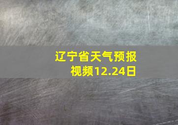 辽宁省天气预报视频12.24日