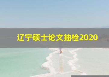 辽宁硕士论文抽检2020