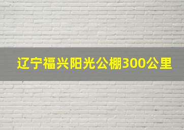 辽宁福兴阳光公棚300公里