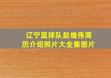 辽宁篮球队赵继伟简历介绍照片大全集图片