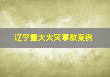 辽宁重大火灾事故案例