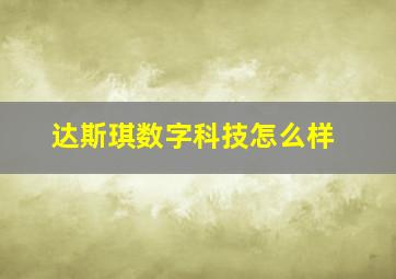 达斯琪数字科技怎么样